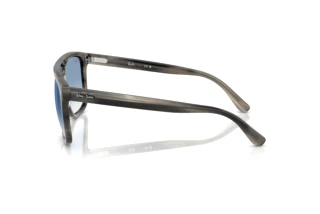 Zijaanzicht Ray-Ban RB2213 (14243F)