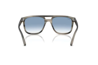 Achteraanzicht Ray-Ban RB2213 (14243F)