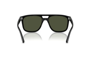 Achteraanzicht Ray-Ban RB2213 (901/31)