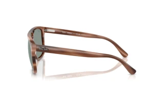 Zijaanzicht Ray-Ban RB2213CH (1423O9)
