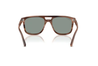 Achteraanzicht Ray-Ban RB2213CH (1423O9)
