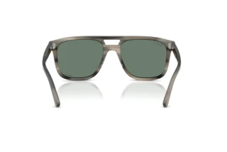 Achteraanzicht Ray-Ban RB2213CH (14243R)