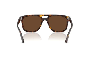 Achteraanzicht Ray-Ban RB2213CH (902/AN)
