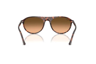 Achteraanzicht Ray-Ban RB2215 (14293B)