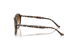 Zijaanzicht Ray-Ban RB2215 (143151)