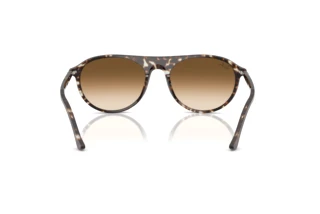 Achteraanzicht Ray-Ban RB2215 (143151)