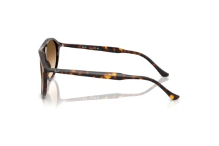 Zijaanzicht Ray-Ban RB2215 (902/51)