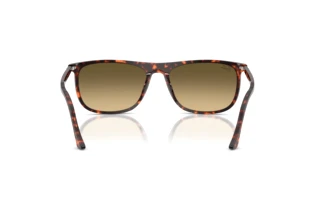 Achteraanzicht Ray-Ban RB2216 (14290A)