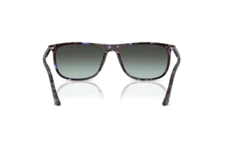 Achteraanzicht Ray-Ban RB2216 (1430GK)