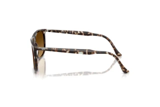 Zijaanzicht Ray-Ban RB2216 (143185)