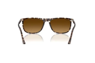 Achteraanzicht Ray-Ban RB2216 (143185)