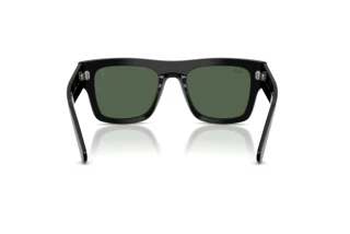Achteraanzicht Ray-Ban RB2217M (F60171)