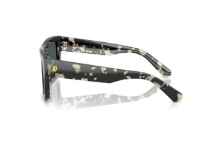 Zijaanzicht Ray-Ban RB2217M (F70387)