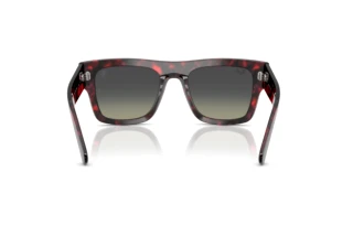 Achteraanzicht Ray-Ban RB2217M (F70511)