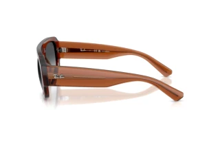 Zijaanzicht Ray-Ban RB2218 (6678T3)