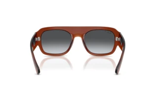 Achteraanzicht Ray-Ban RB2218 (6678T3)