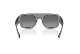 Achteraanzicht Ray-Ban RB2218 (668482)