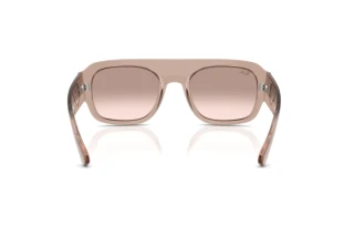 Achteraanzicht Ray-Ban RB2218 (67278Z)