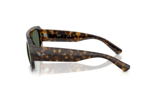 Zijaanzicht Ray-Ban RB2218 (679071)