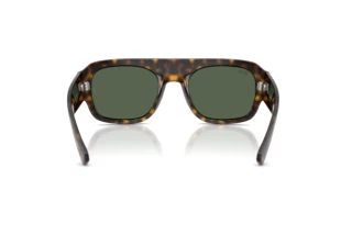 Achteraanzicht Ray-Ban RB2218 (679071)