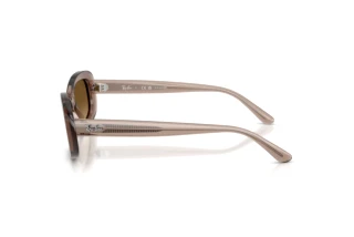 Zijaanzicht Ray-Ban RB2221 (6827M2)