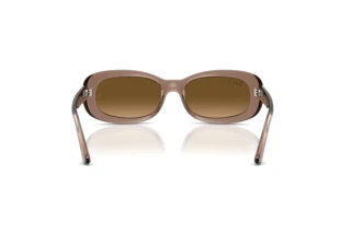 Achteraanzicht Ray-Ban RB2221 (6827M2)