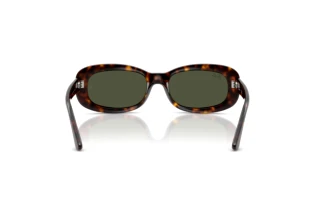 Achteraanzicht Ray-Ban RB2221 (902/31)