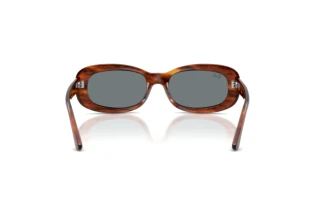 Achteraanzicht Ray-Ban RB2221 (954/62)