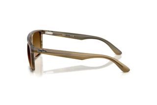 Zijaanzicht Ray-Ban RB2222 (143985)