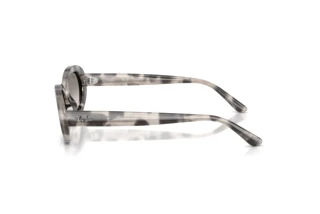 Zijaanzicht Ray-Ban RB2223 (144832)