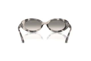 Achteraanzicht Ray-Ban RB2223 (144832)