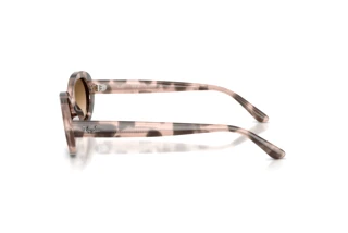 Zijaanzicht Ray-Ban RB2223 (144951)