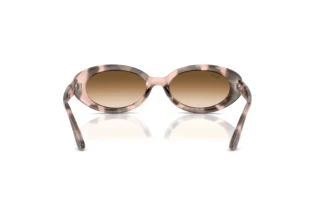Achteraanzicht Ray-Ban RB2223 (144951)