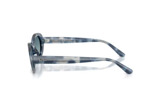 Zijaanzicht Ray-Ban RB2223 (14503M)