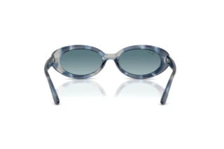 Achteraanzicht Ray-Ban RB2223 (14503M)