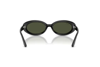 Achteraanzicht Ray-Ban RB2223 (901/31)