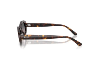 Zijaanzicht Ray-Ban RB2223 (902/M3)