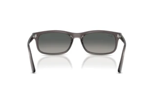 Achteraanzicht Ray-Ban RB2224 (667571)