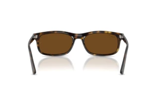 Achteraanzicht Ray-Ban RB2224 (710/57)