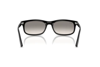Achteraanzicht Ray-Ban RB2224 (901/32)