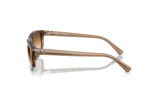 Zijaanzicht Ray-Ban RB2225 (664051)