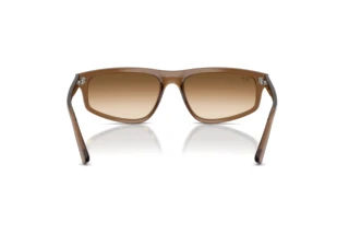 Achteraanzicht Ray-Ban RB2225 (664051)