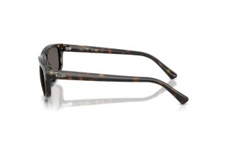 Zijaanzicht Ray-Ban RB2225 (710/B1)