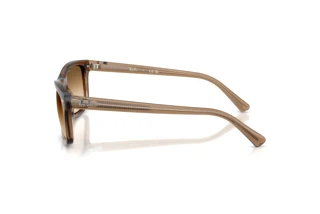 Zijaanzicht Ray-Ban RB2226 (664051)