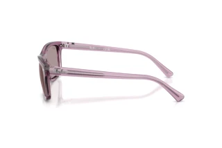 Zijaanzicht Ray-Ban RB2226 (684753)