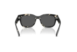 Achteraanzicht Ray-Ban RB2228M (F70387)