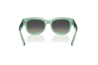 Achteraanzicht Ray-Ban RB2228M (F70911)
