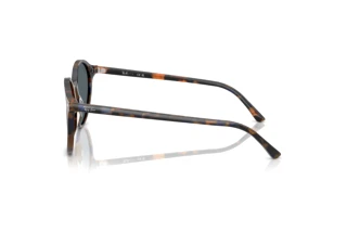 Zijaanzicht Ray-Ban RB2230 (1356R5)