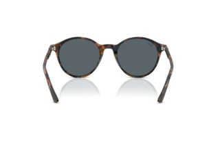 Achteraanzicht Ray-Ban RB2230 (1356R5)