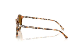 Zijaanzicht Ray-Ban RB2230 (135733)
